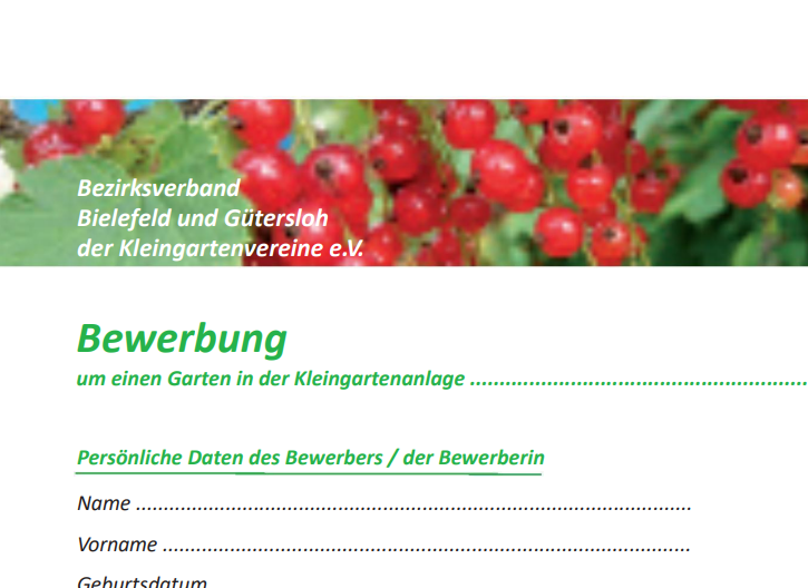 Bewerbungsformular im Download-Bereich