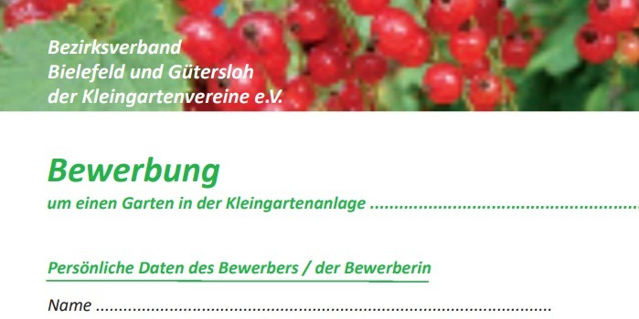Bewerbungsformular im Download-Bereich